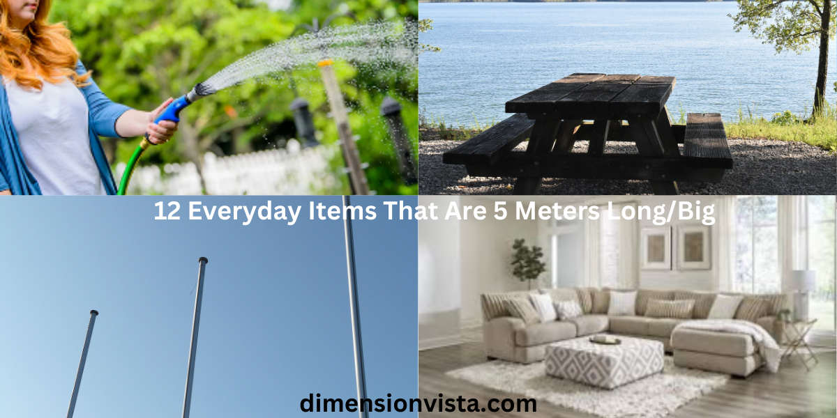 12 Everyday Items That Are 5 Meters Long/Big