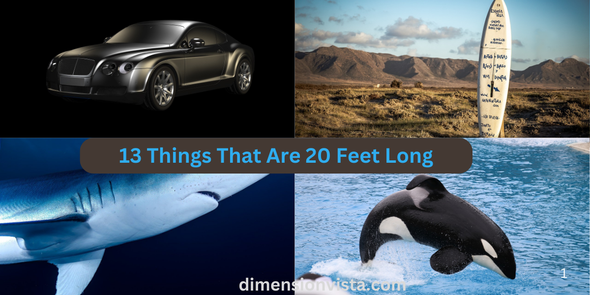 13 Things That Are 20 Feet Long