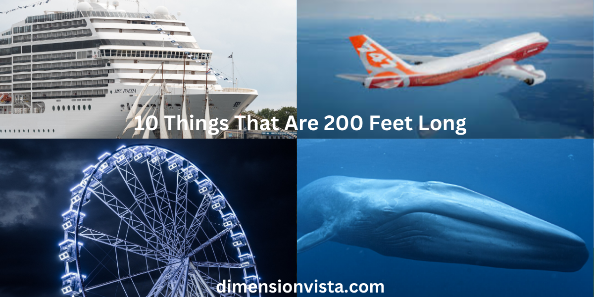 10 Things That Are 200 Feet Long