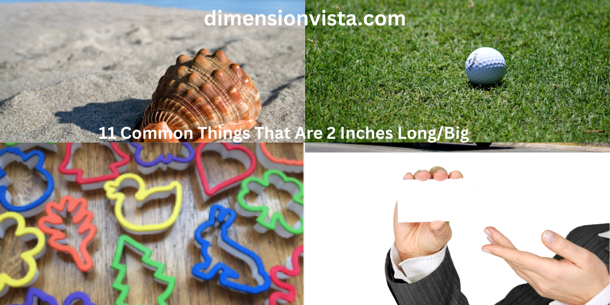 11 Common Things That Are 2 Inches Long/Big