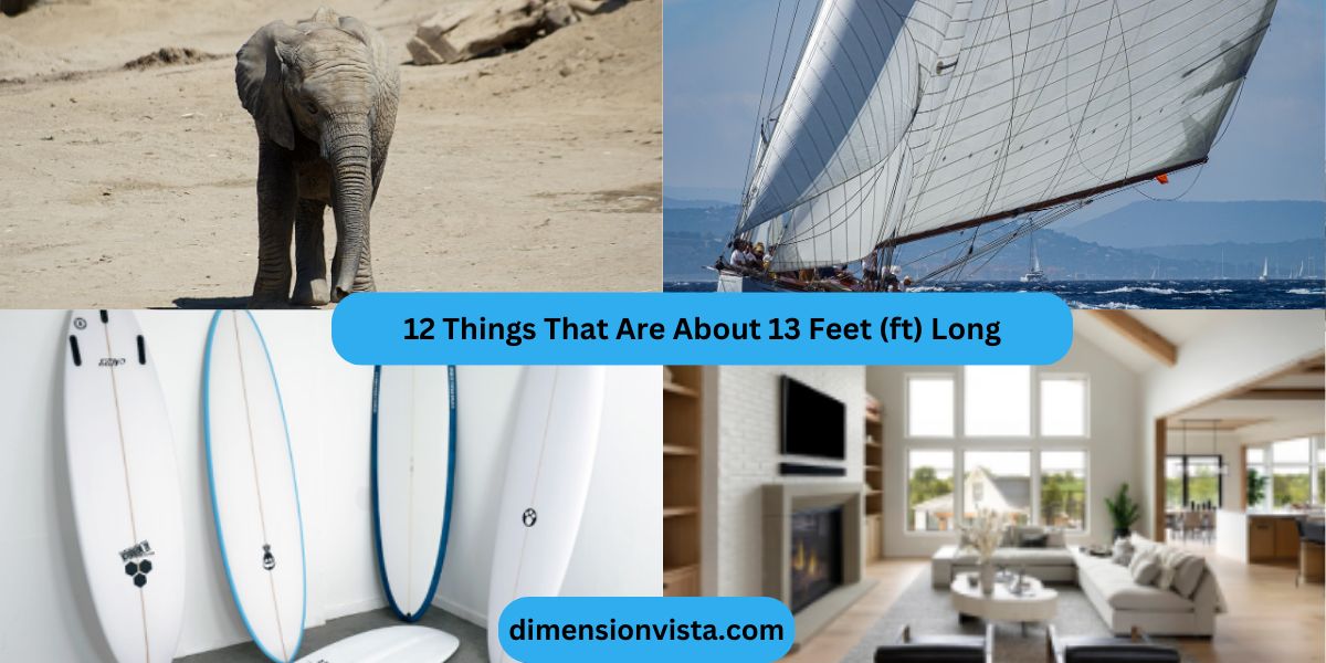 12 Things That Are About 13 Feet (ft) Long