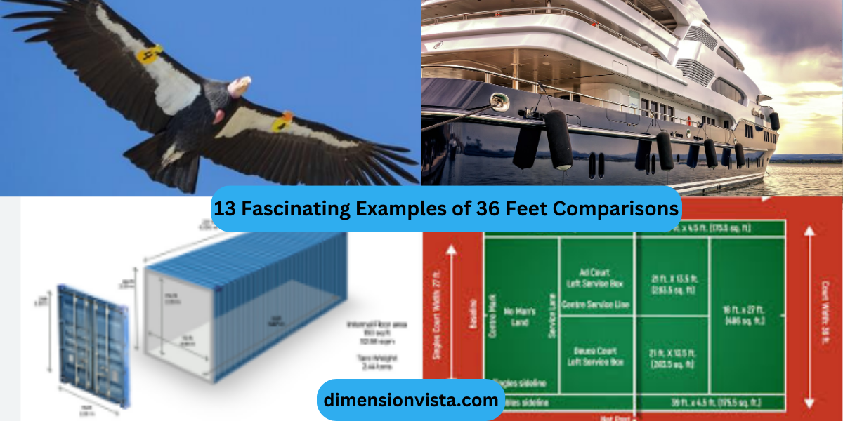 13 Fascinating Examples of 36 Feet Comparisons