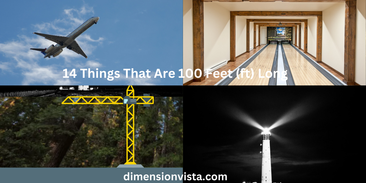 14 Things That Are 100 Feet (ft) Long