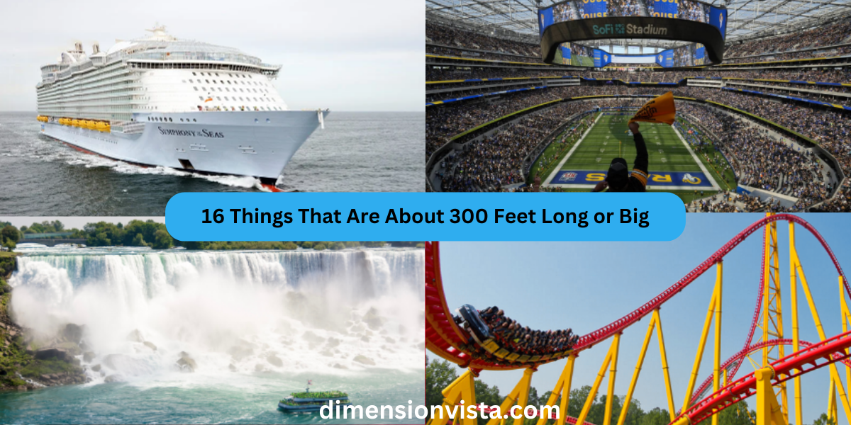 16 Things That Are About 300 Feet Long or Big