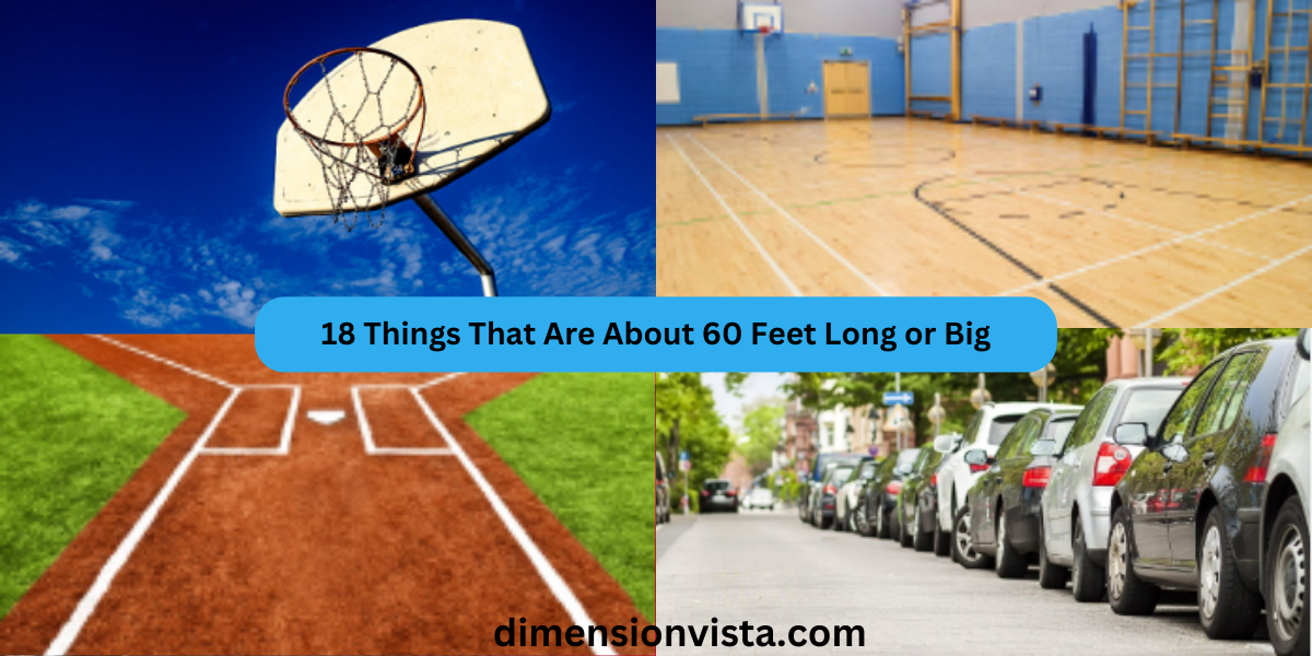 18 Things That Are About 60 Feet Long or Big