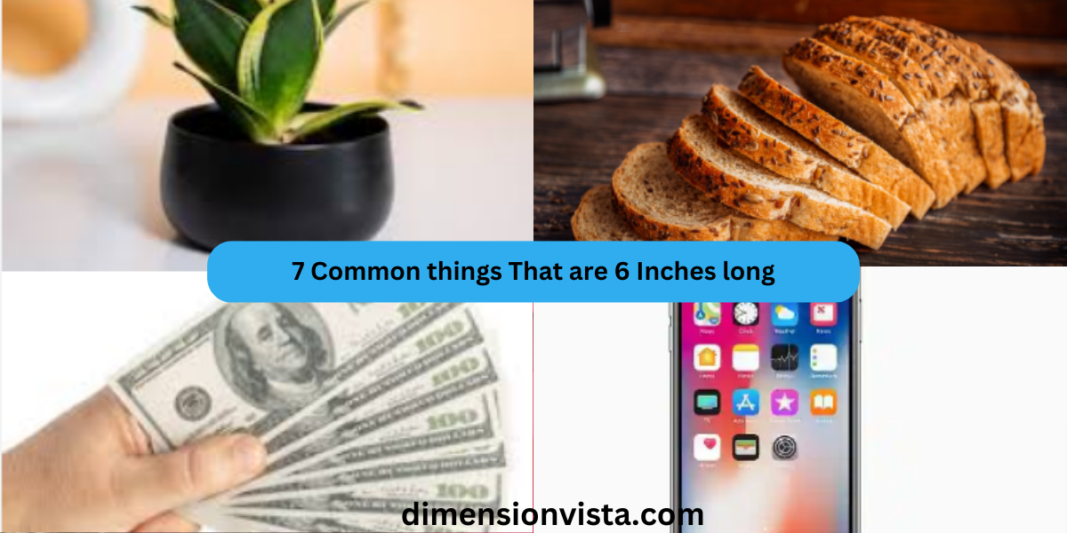 7 Common things That are 6 Inches long