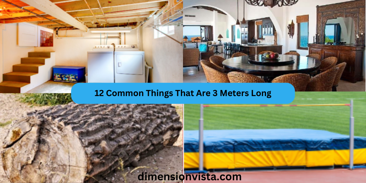 12 Common Things That Are 3 Meters Long