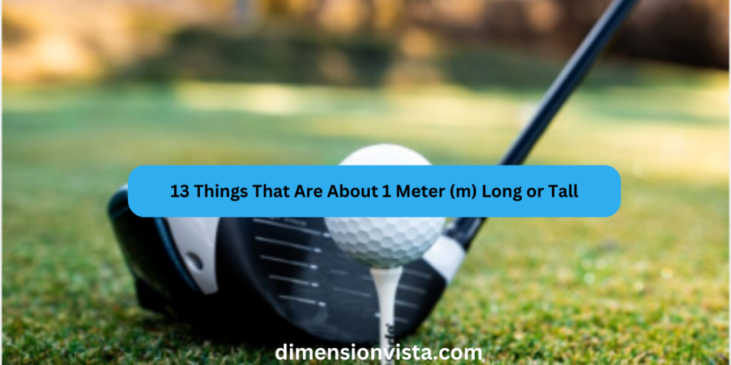 13 Things That Are About 1 Meter (m) Long or Tall
