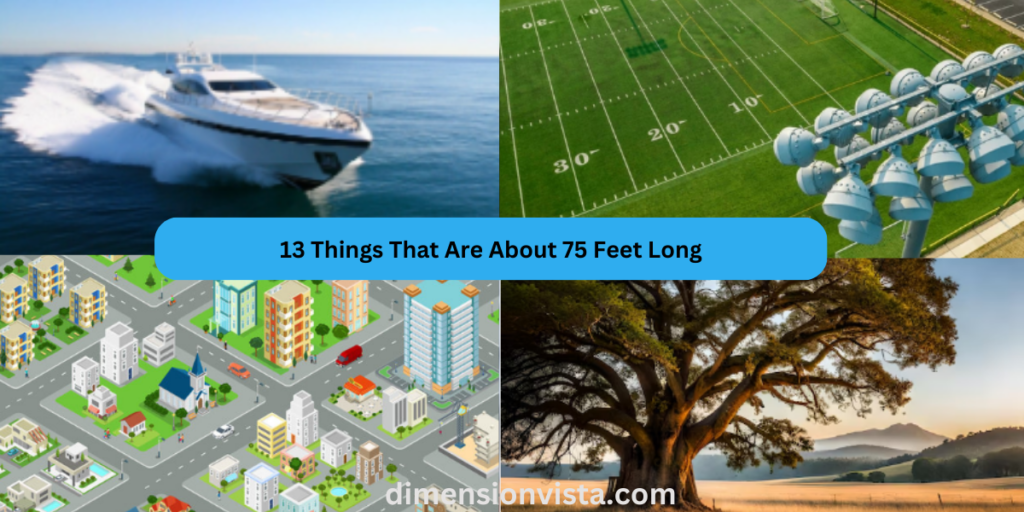 13 Things That Are About 75 Feet Long