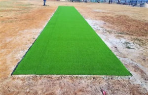  Cricket Pitch Size 