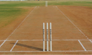  Cricket Pitch Size 