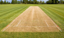  Cricket Pitch Size 