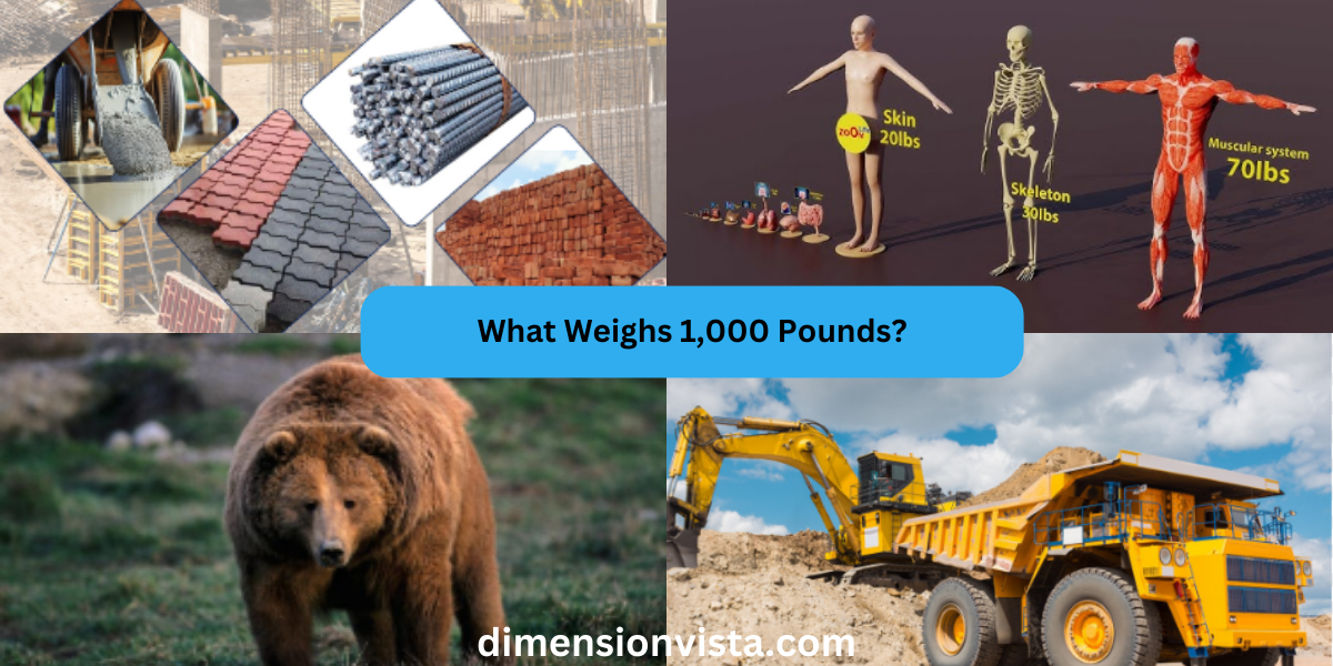 What Weighs 1,000 Pounds? Everyday Comparisons to Visualize the Weight