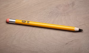 That Are 7 Inches (in) Long
