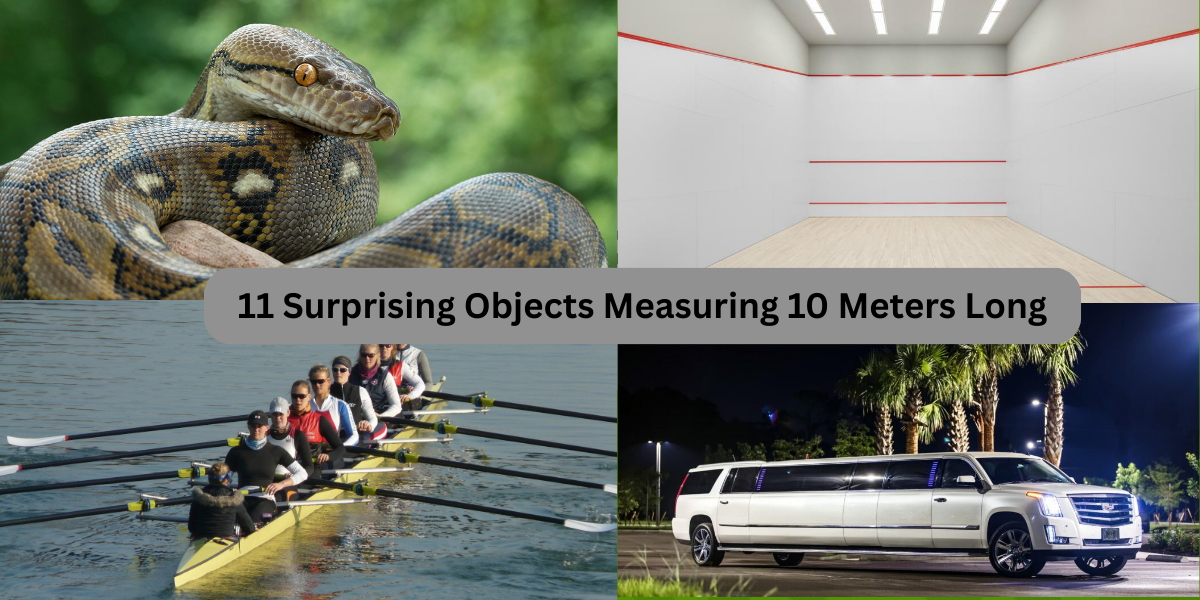 11 Surprising Objects Measuring 10 Meters Long
