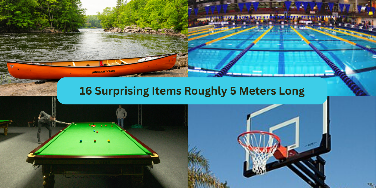 16 Surprising Items Roughly 5 Meters Long