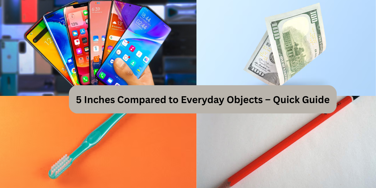 5 Inches Compared to Everyday Objects – Quick Guide
