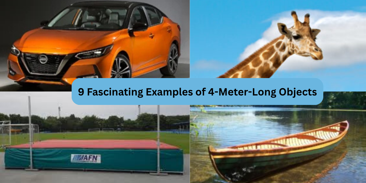 9 Fascinating Examples of 4-Meter-Long Objects