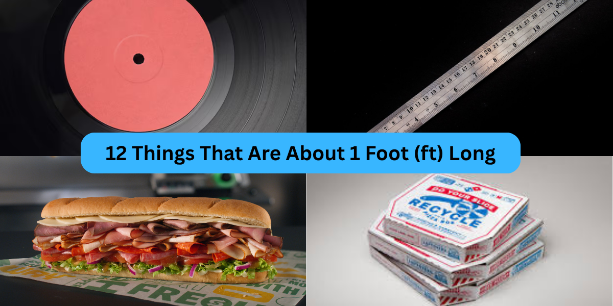 12 Things That Are About 1 Foot (ft) Long