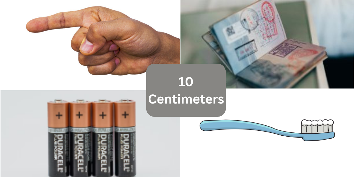 10 Things That Are About 10 Centimeters (cm) Long
