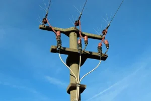 That Are About 54 Feet
