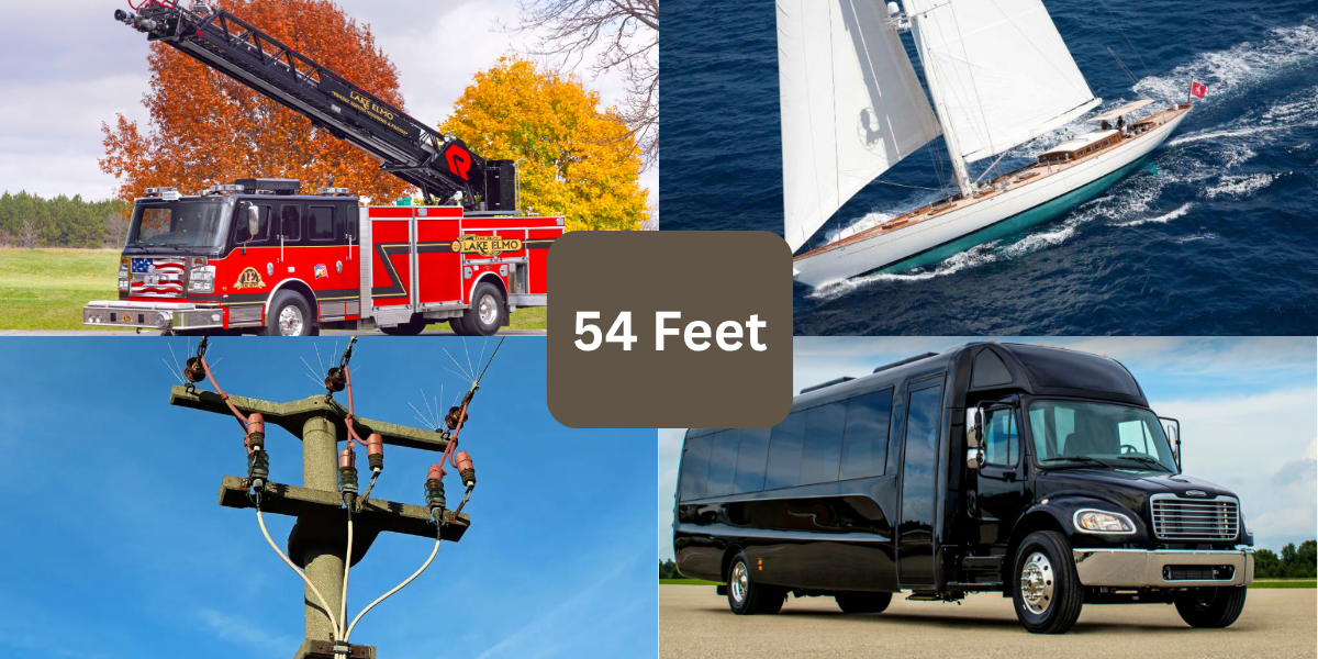 7 Things That Are About 54 Feet (ft) Long/Tall