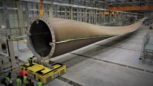 hat Are About 20 Meters (m) Long