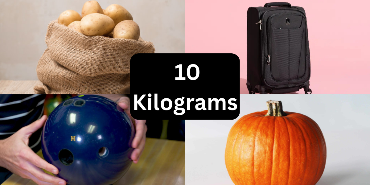 12 Common Things That Weigh 10 Kilograms
