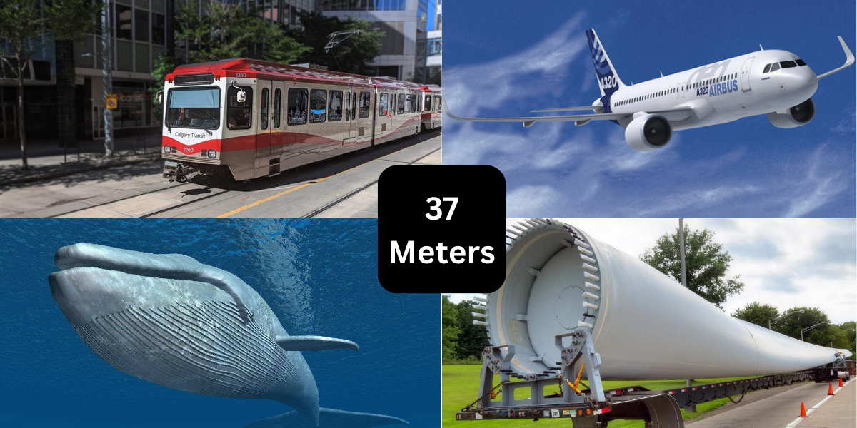 6 Things That Are About 37 Meters (m) Long