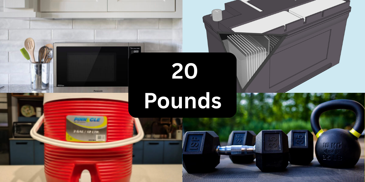 9 Common Things That Weigh 20 Pounds