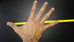 That Are 10 Inches Long
