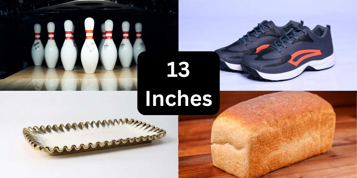 How Long Is 13 Inches? 14 Most Common Comparisons for 13 Inches